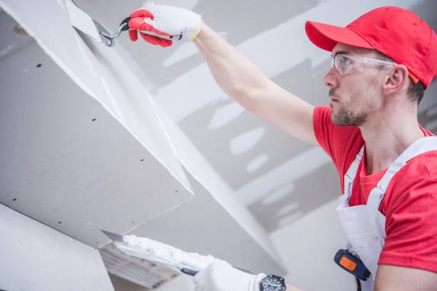 Best Drywall Installation  in Bemidji, MN